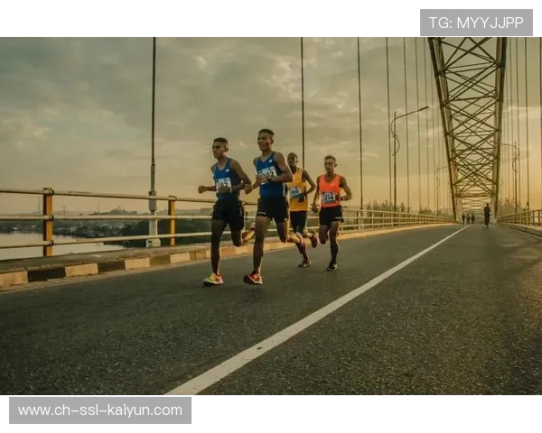 法国职业足球联盟碳中和路线图发布，俱乐部主场太阳能改造计划启动