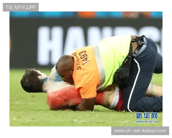 球迷行为研究项目进展，赛场氛围分析